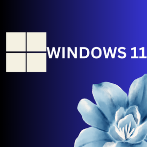 windows 11